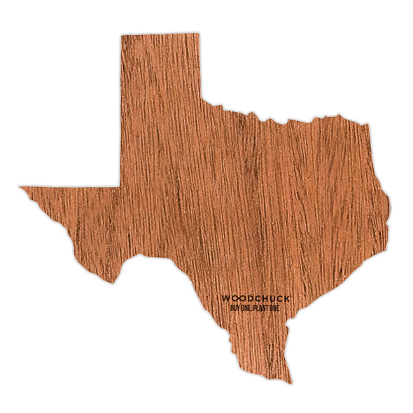 Texas Wooden Sticker